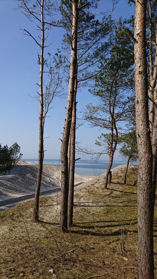 Apartament Premium Baltic House Międzywodzie Exteriér fotografie
